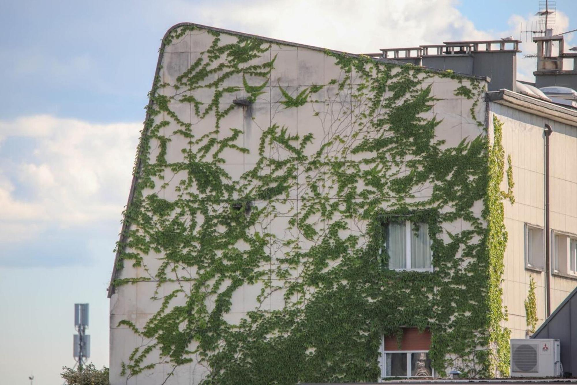 La Pause Annecienne Appartement Familial Аннесі Екстер'єр фото